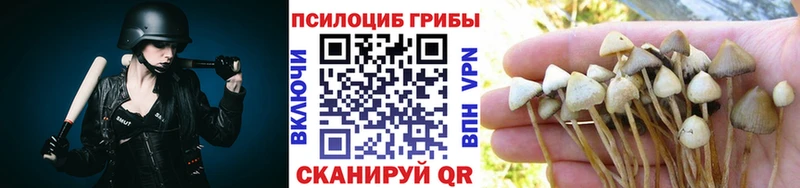Псилоцибиновые грибы Psilocybine cubensis  Дудинка 